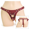 G-string style leather harness.