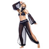 5 piece Arabian belly dancer costume