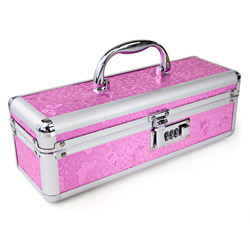 Lockable sex toy case - Storage container