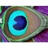Purple Feathers's Avatar