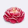 Candle Raspberry