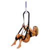 Fetish Fantasy fantasy swing