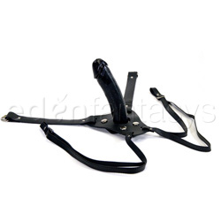 Dual strap harness set