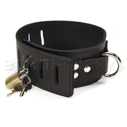 Hasp style collar reviews