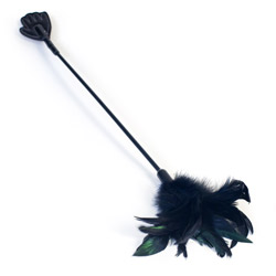 Sex and Mischief feather spanker