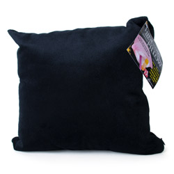 Hide your vibe zipper pillow