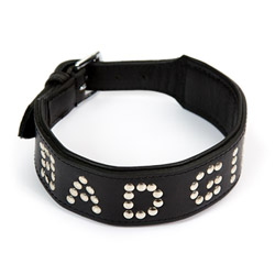 Bad girl collar