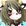 Contributor: HomuHomu
