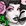 Contributor: RomanticGoth