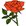 Rose Worthy