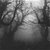 Contributor: annieruk