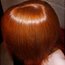 Contributor: Gingertrap