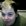 Contributor: djstoner