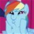 Contributor: Rainbow Dash