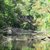 Contributor: wildshores