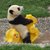 Contributor: pandasauce