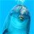 Contributor: DolphinGirl