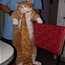 Contributor: allonsy221b