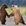 Contributor: OH&W, Lovebears