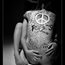 Contributor: PrairiePrincess