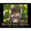 Contributor: BlindSquirrel