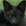 Contributor: Black Fox