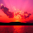 Contributor: Firefli66