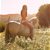Contributor: LadyUnicorn