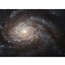 Contributor: NGC 3810