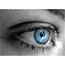 Contributor: ana123
