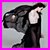 Contributor: Stoya (Digital Playground)