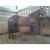 Contributor: cowboy7900