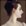 Contributor: Petticoats