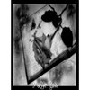 Contributor: The Mother of a SiNner