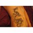 Contributor: Dragon Tat Girl