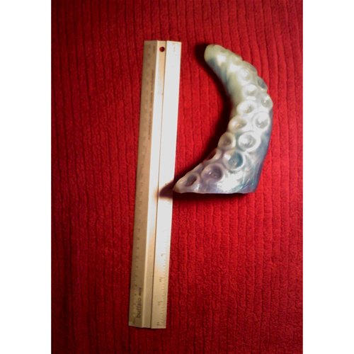 Tentacle Compared to a Standard 12 Inch Ruler