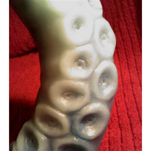 Close Up on the Suction Cups
