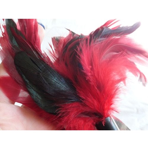feathers