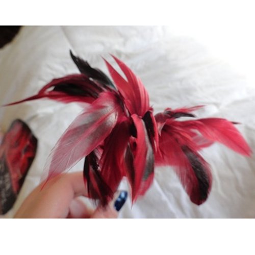 feathers2