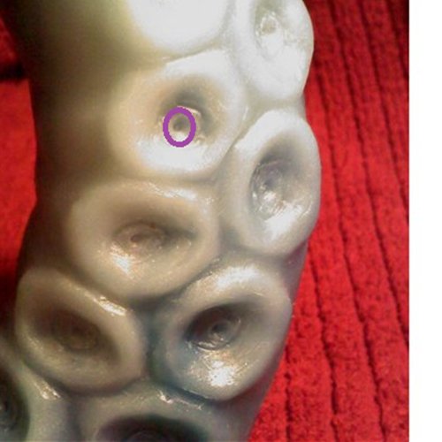 Clean the Pin Sized Holes