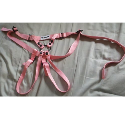 Full harness
