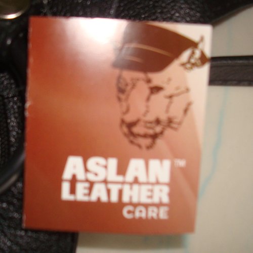 Aslan Tag