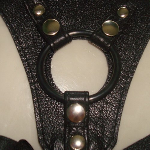O ring Snaps