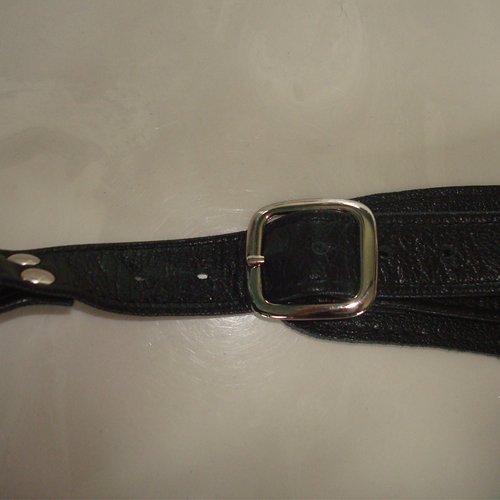 Buckle