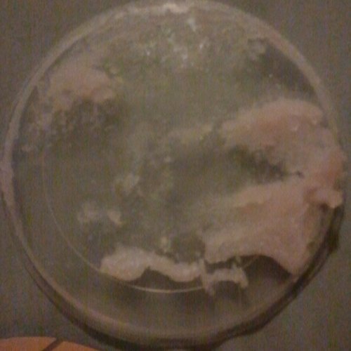 inside lid of sensual scrub