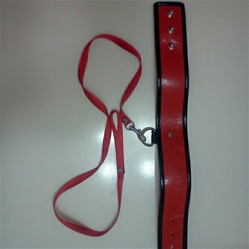 Collar and Leash