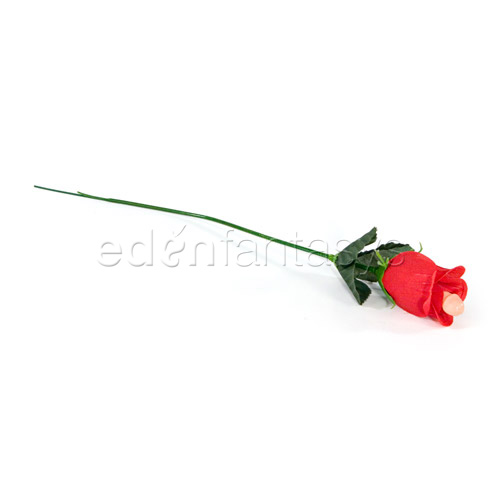 Product: Pecker rose 12 pieces in vase