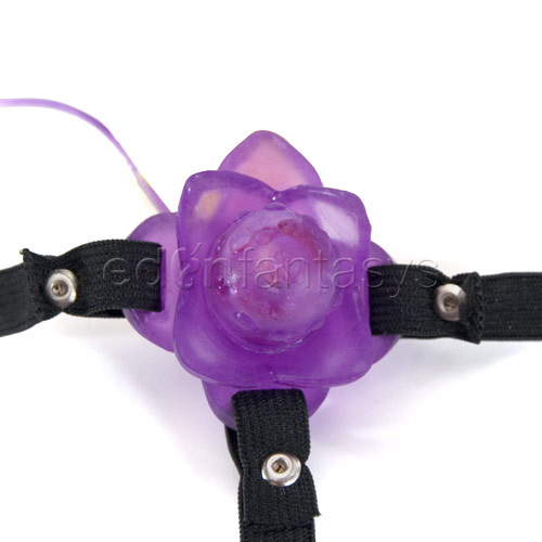 Product: Alexa's micro orchid