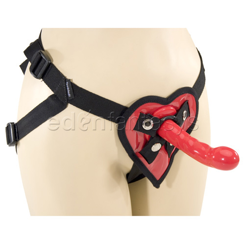Product: Heart harness and silicone dong set