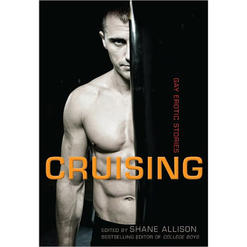 Cruising gay erotic stories - book
